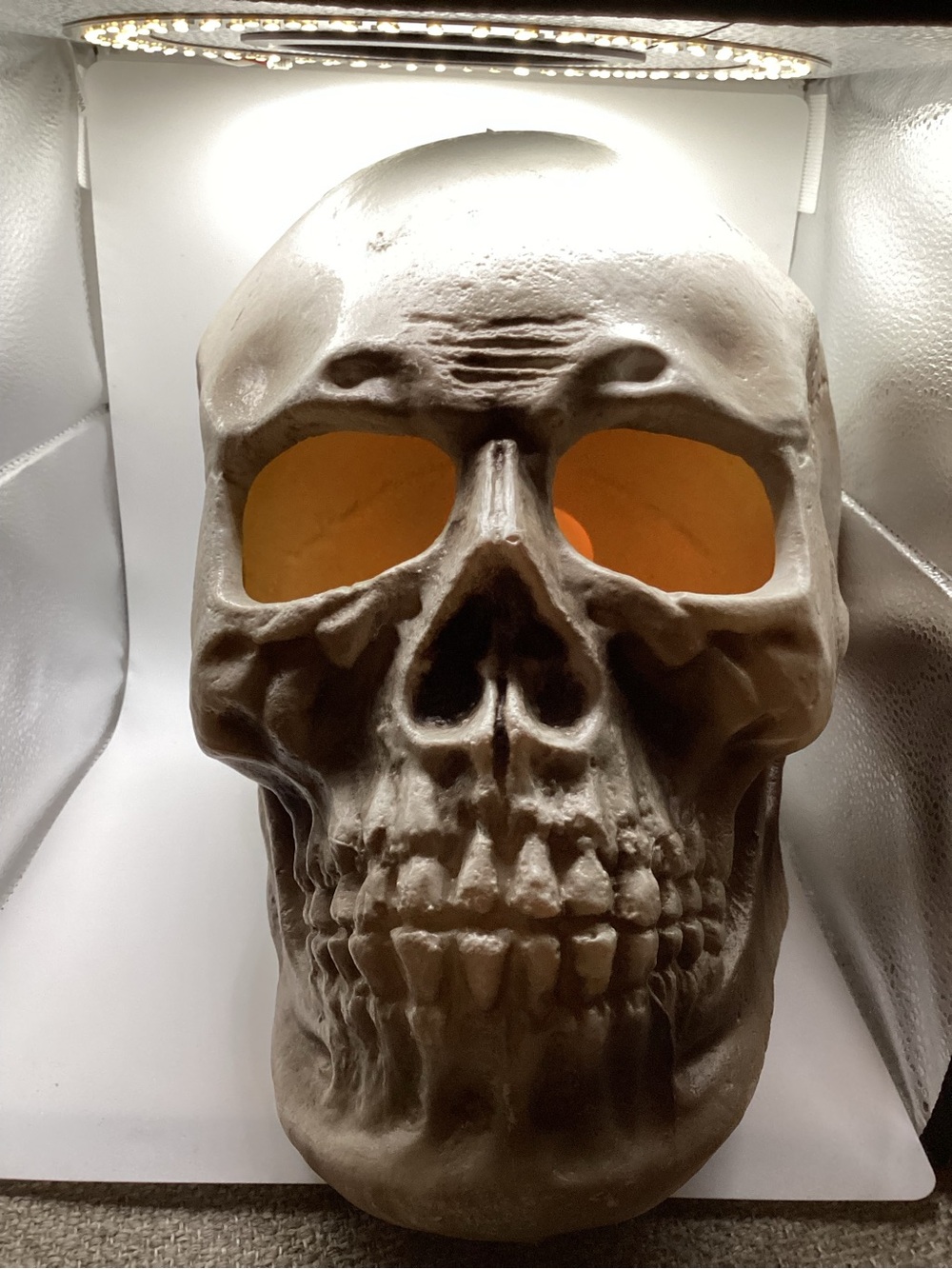Decorative Skull Accent with Flickering Internal Light. Large!